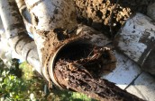 a broken water pipe filled with mud