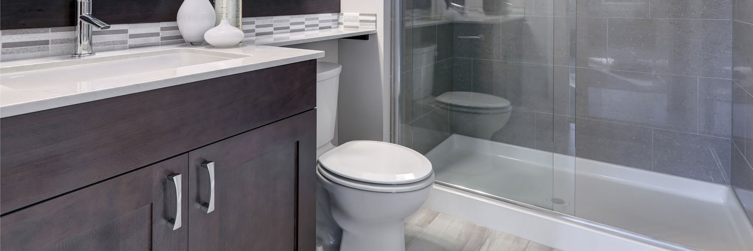 a white toilet between a walk in shower and a sink